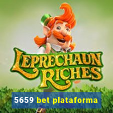 5659 bet plataforma